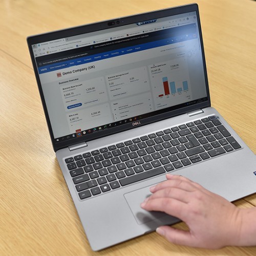 Accountant using online accounting services on a laptop